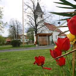 Pfarrkirche